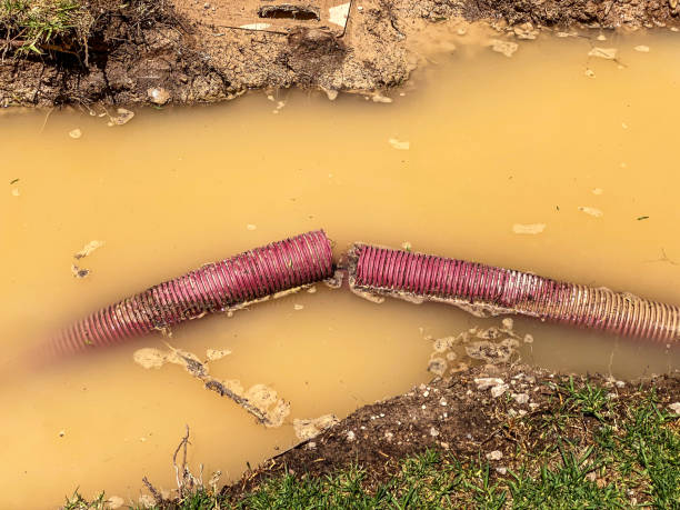 Best Water damage restoration near me  in Bath, ME
